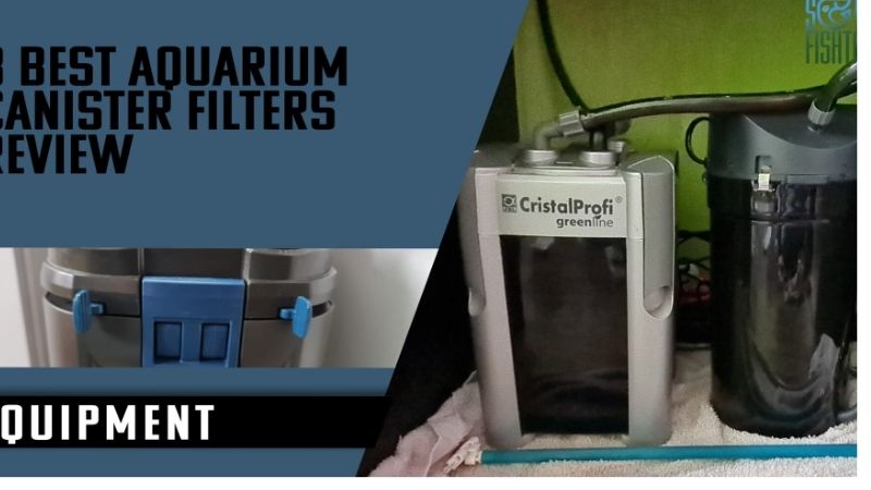 best canister filter for 100 gallon aquarium