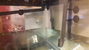 Best Canister Filter for 400 Gallon Tank: Smart Options
