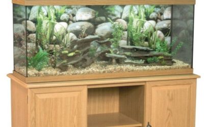 Best Canister Filter for a Reef Tank: Top Reliable Guide