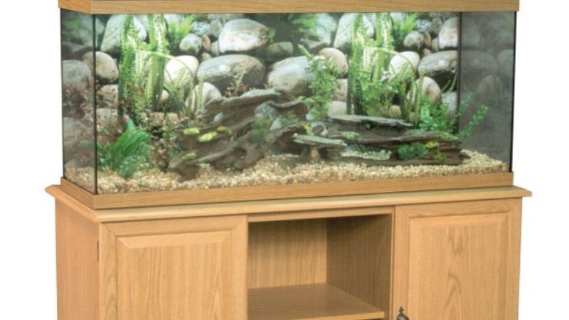 best canister filter for a reef tank