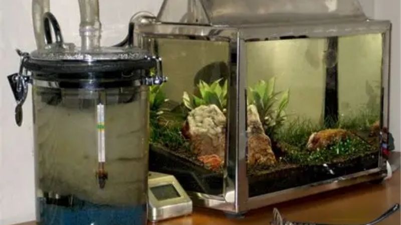 best canister filter media order and setup