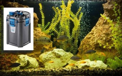 Best Canister Filter With Built In UV Sterilizer: Smart Buy