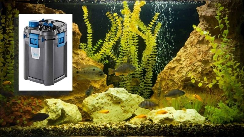 best canister filter with built in uv sterilizer