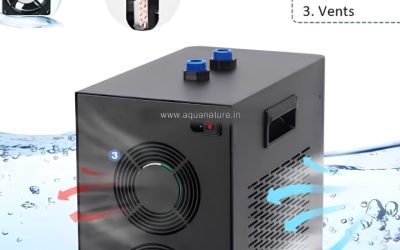 Best Chiller for Hydroponics and Fish Tanks: Smart Top Picks