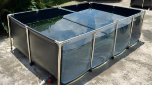 Best Collapsible Fish Pond With Drain Valve: Top Tested