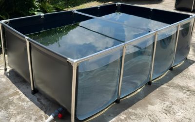 Best Collapsible Fish Pond With Drain Valve: Top Compared