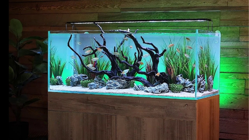 best complete freshwater aquarium system 120cm