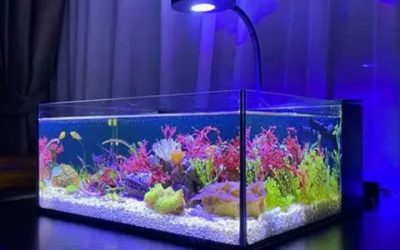 Best Complete Reef System Under 1000: Smart Tested Picks