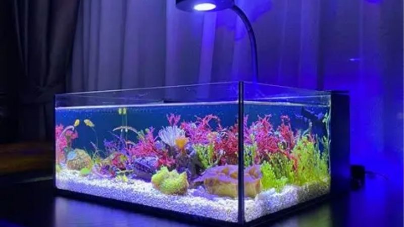 best complete reef system under 1000