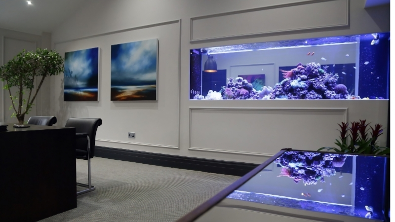 best desktop aquarium for office