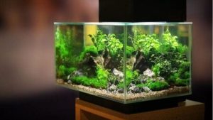Best DIY Alternative to an Aquarium Stand: Top Expert Guide