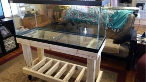 Best Diy Vs Prebuilt Aquarium Stand For 75 Gallons: Tested