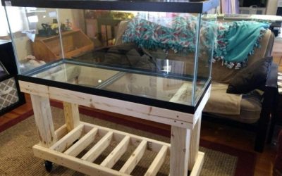 Best Diy Vs Prebuilt Aquarium Stand For 75 Gallons: Compared