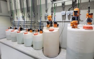 Best Dosing Container Set For Two Part: Top Compared Guide