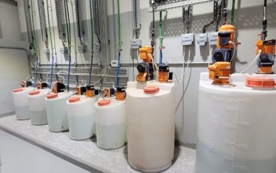 Best Dosing Pump for Freshwater Tanks: Top Expert Guide