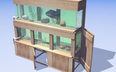 Best Double Aquarium Stand For Two Tanks: Trusted Smart