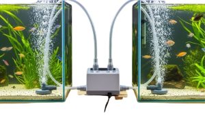 Best Dual Outlet Aquarium Air Pump: A Careful Buyer’s Guide