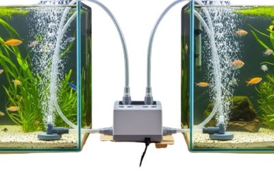 Best Dual Outlet Aquarium Air Pump: A Careful Buyer’s Guide