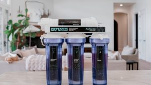 Best Dual Outlet RODI for Drinking and Aquarium: Top Picks