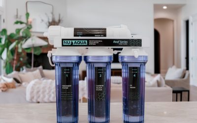 Best Dual Outlet RODI for Drinking and Aquarium: Top Picks
