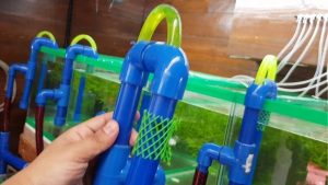 Best Electric Aquarium Gravel Cleaner: Top Tested Picks