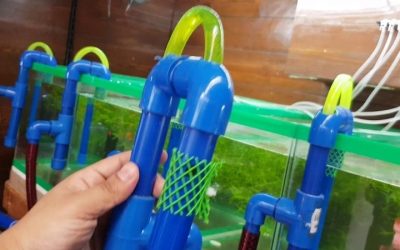 Best Electric Aquarium Gravel Cleaner: Top Top Picks