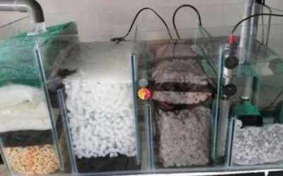 Best Energy Efficient Aquarium Sump: Top Efficiency Guide