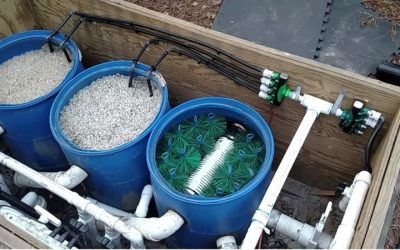 Best Energy Efficient Pond Filter System: Top Low-Watt Picks