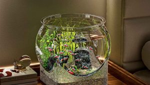 Best Fish Bowl Kit With Filter: Best Tested Buyer Picks 2026