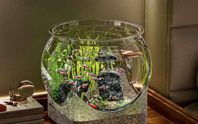 Best Fish Bowl Kit With Filter: Best Compared Buyer Picks 2026