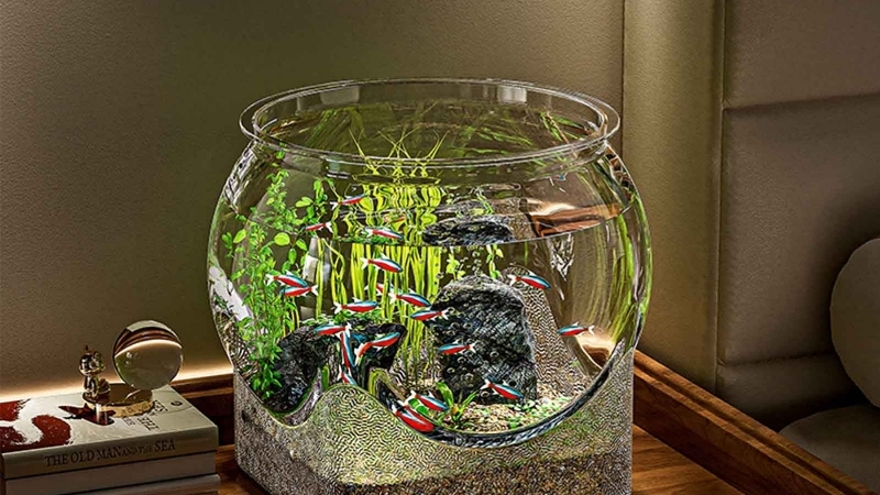 best fish bowl kit with filter