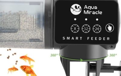 Best Fish Feeder With Multiple Timers: 4 Flexible Picks