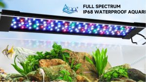 Best Full Spectrum Aquarium Light for Plant Growth: Compared