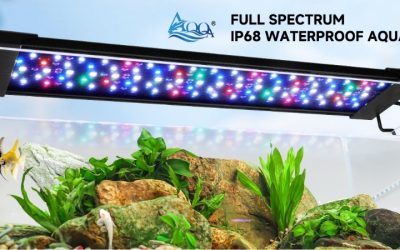 Best Full Spectrum Aquarium Light for Plant Growth: Compared