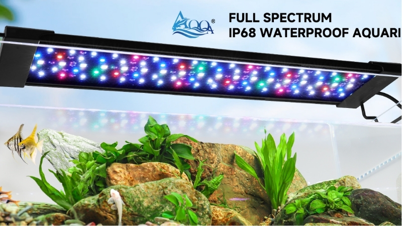 best full spectrum aquarium light for plant growth