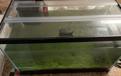 Best Glass Canopy for Aquarium: Top Tested Fit Picks Guide