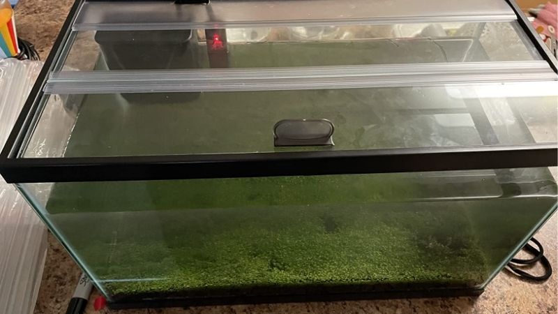 best glass canopy for aquarium