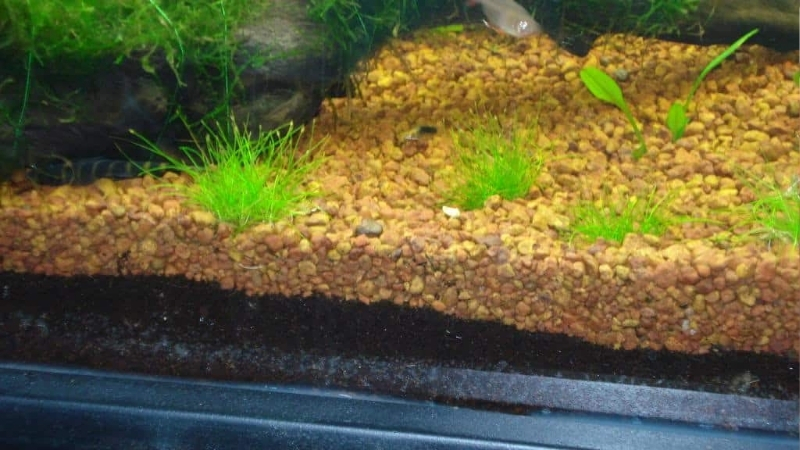 best gravel substrate for beginner tank