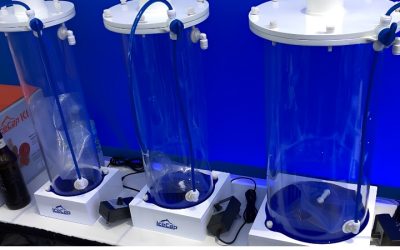 Best Kalkwasser Stirrer For Reef Tanks: Top Tested Guide
