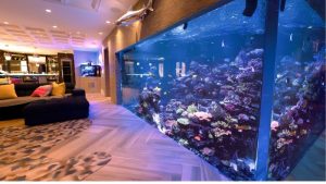 Best Large Aquarium For A Commercial Lobby: Best Expert