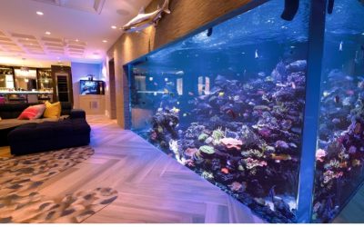 Best Large Aquarium For A Commercial Lobby: Best Expert