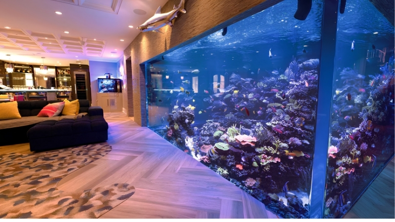 best large aquarium for a commercial lobby