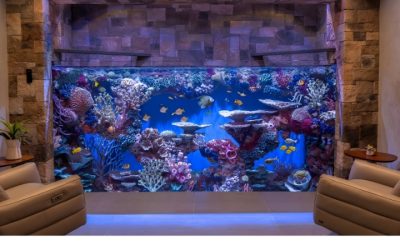 Best Large Aquarium For Home: Best Proven Compared Buyer Guide