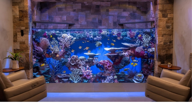 best large aquarium for home