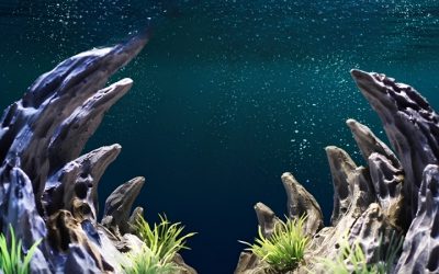 Best Large Aquarium Waterfall Rockery Ornament: Top Smart