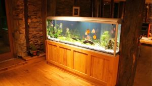 Best Large Fish Holding Tank For Outdoor Use: Top Smart