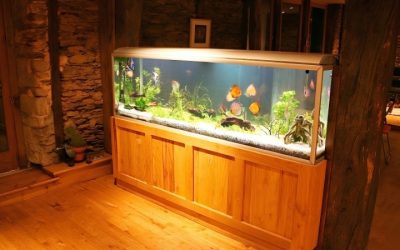 Best Large Fish Holding Tank For Outdoor Use: Top Smart