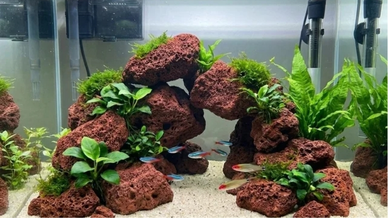 best lava rock for aquarium filtration