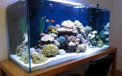 Best Leak Proof Aquarium Tank: Smart Choices, Safer Setup