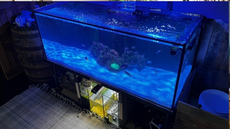 best low iron glass aquarium